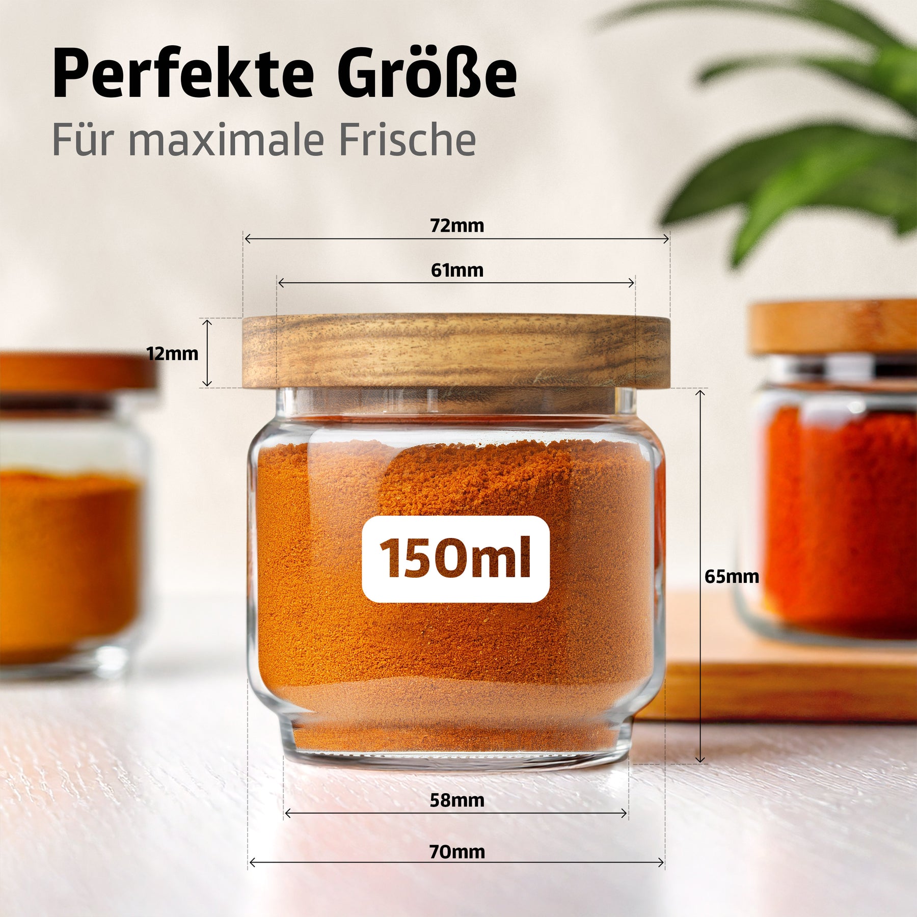ElbFuchs Gewürzgläser Set | 12-teilig (150ml) mit Holzdeckel