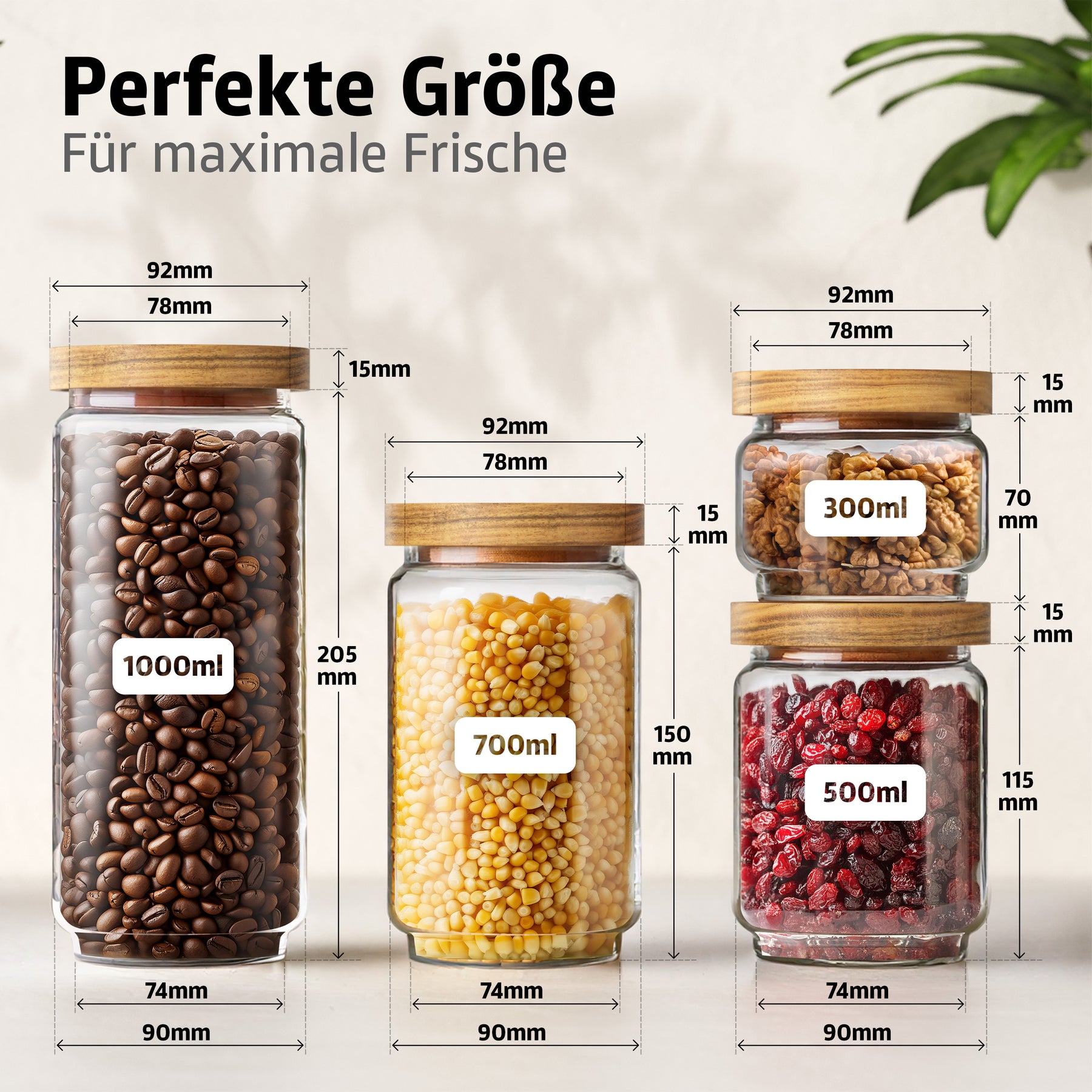 ElbFuchs Vorratsgläser Starter Set L | 18-teiliges Set