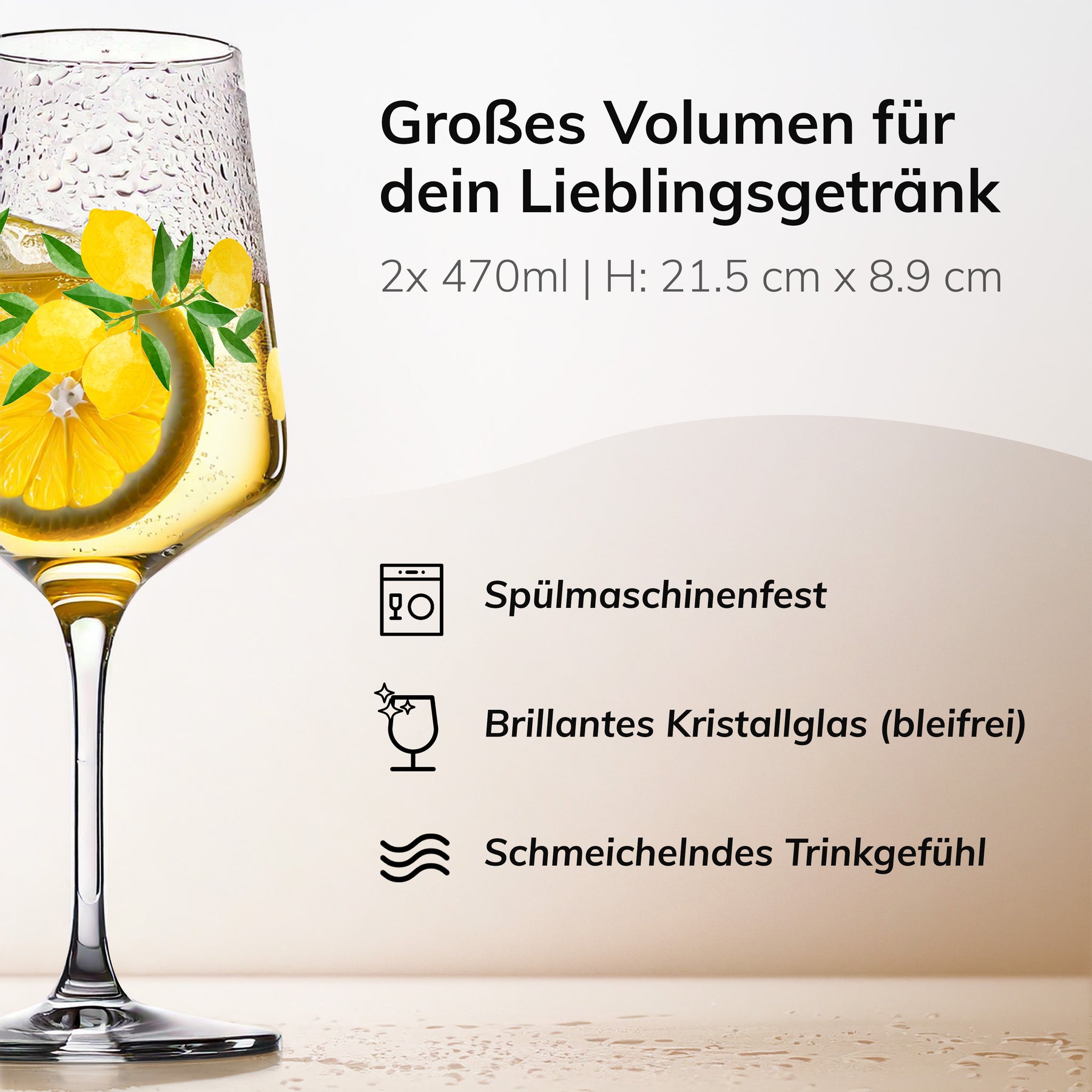 Wein- und Aperitifgläser [2x 470ml]