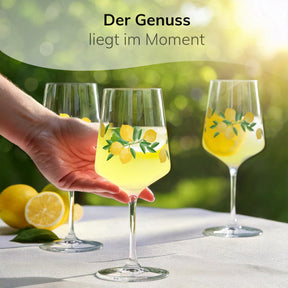 Wein- und Aperitifgläser [2x 470ml]