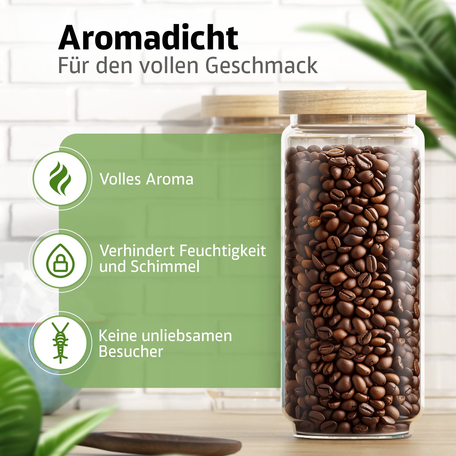 Ein ElbFuchs Vorratsglas WOOD KONTOR mit hellem Holzdeckel, prall gefüllt mit dunklen Kaffeebohnen, steht vor einer weißen Backsteinwand zwischen grünen Blättern – aromadicht verschlossen gegen Feuchtigkeit und Schädlinge.