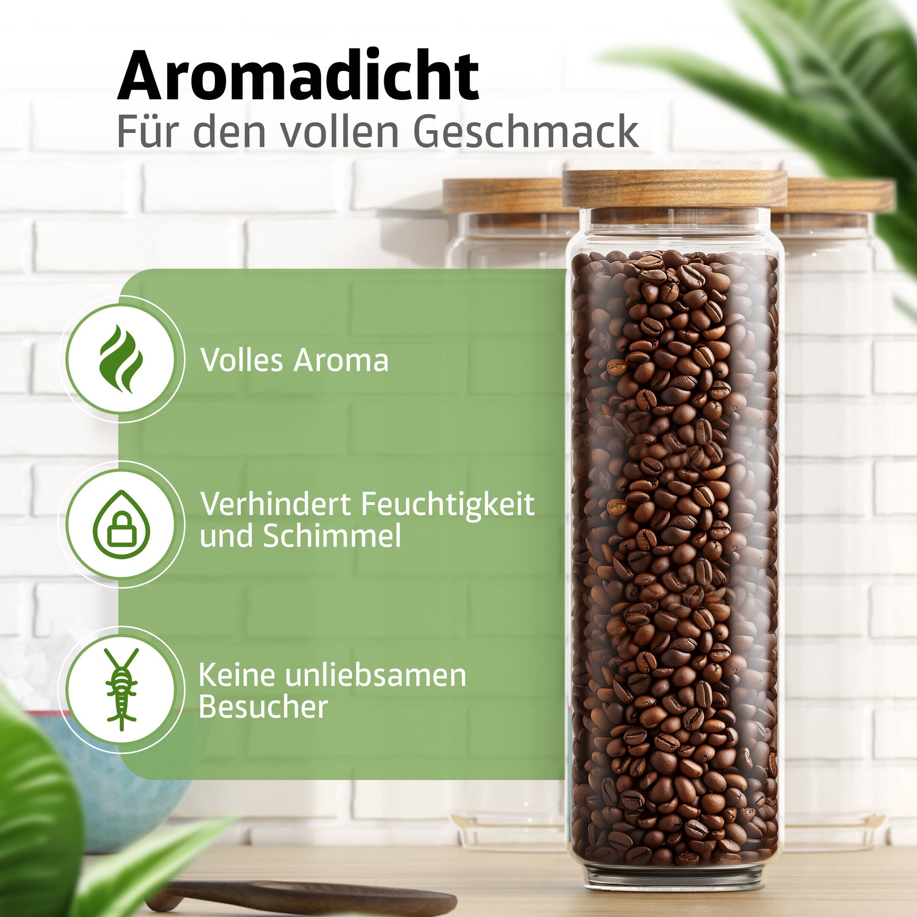 Ein schlankes, hohes ElbFuchs Vorratsglas mit Bambusdeckel ist bis zum Rand mit dunklen Kaffeebohnen gefüllt und steht vor einer weißen Ziegelwand mit grünen Blättern im Hintergrund.