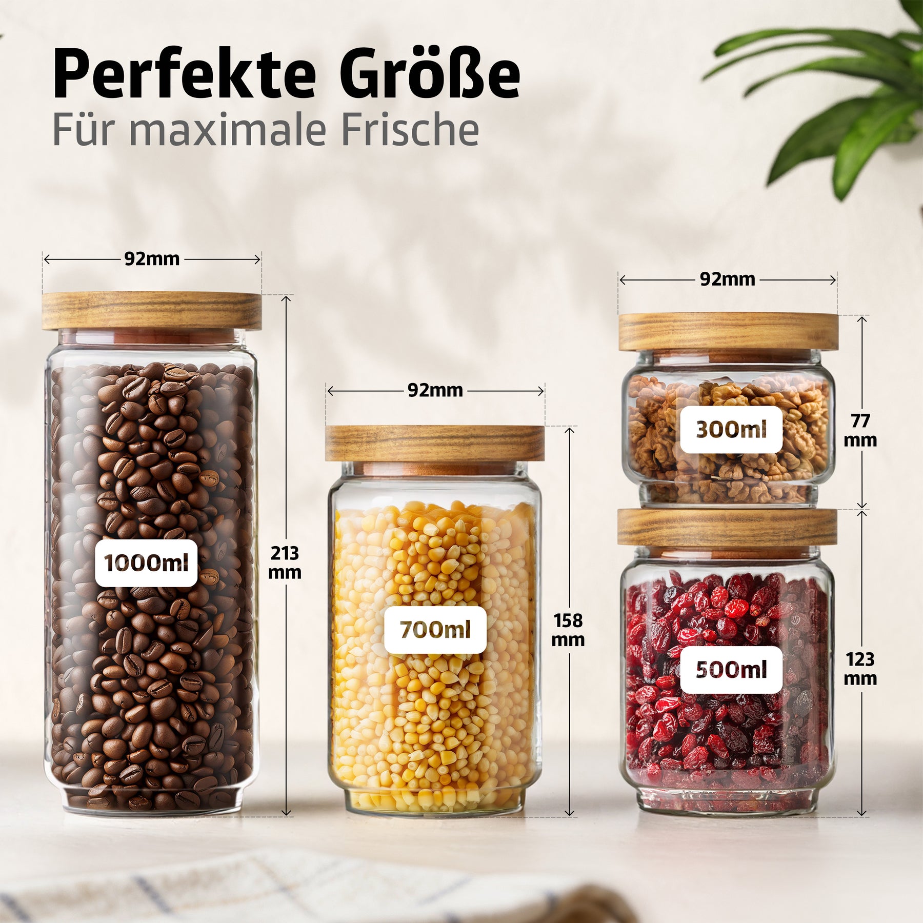 Größenvergleich der vier ElbFuchs Vorratsgläser mit Holzdeckel: 300 ml mit Walnüssen, 500 ml mit getrockneten Cranberries, 700 ml mit gelben Erbsen und 1000 ml mit Kaffeebohnen, jeweils mit Maßangaben zu Durchmesser und Höhe.